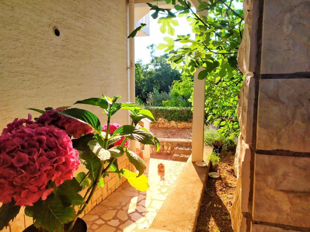 Cozy Apartments Danica Novalja With Terrace - First Floor Ngoại thất bức ảnh