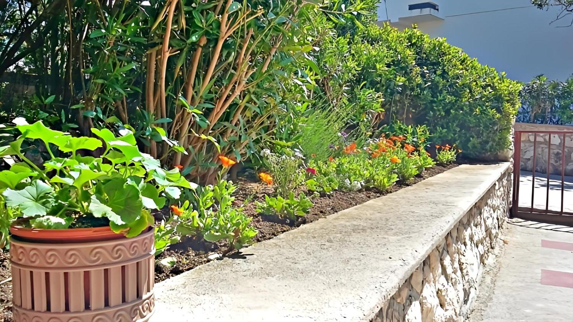 Cozy Apartments Danica Novalja With Terrace - First Floor Ngoại thất bức ảnh